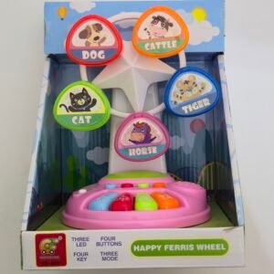 HAPPY FERRIS WHEEL