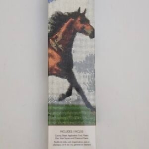 DIAMOND PAINTING CANVAS ART KIT16X20