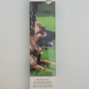 DIAMOND PAINTING CANVAS ART KIT16X20
