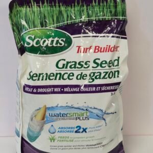 SCOOT GRASS SEED