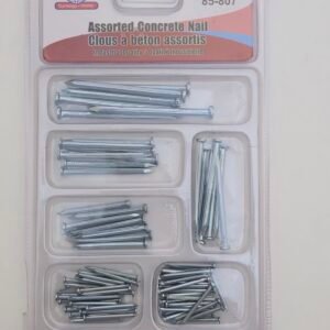 Assorted Concrete Nails