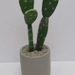 CACTUS PLANT IN CEMENT POT