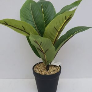 REALISTIC APPEAR NEST ANTHURIUM